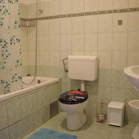 Apartments Opsenica Barbat