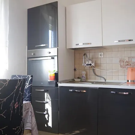 Apartments Opsenica Barbat