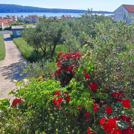 Apartament Opsenica Barbat