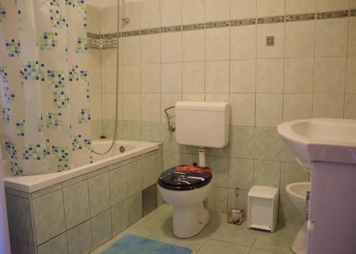 Apartments Opsenica Barbat