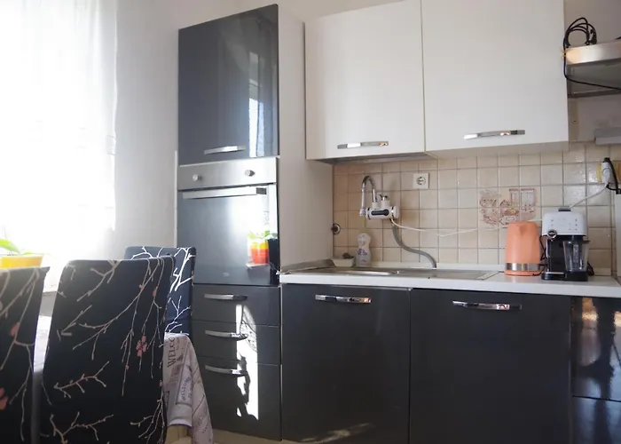 Apartments Opsenica Barbat