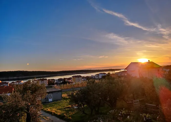 Apartments Opsenica Barbat *